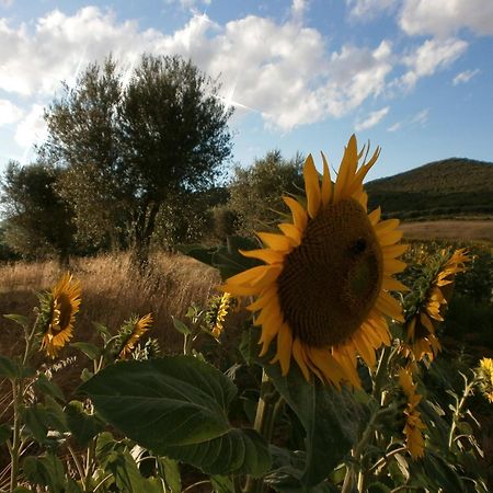 I Casali Di Colle San Paolo Villa Tavernelle  Buitenkant foto
