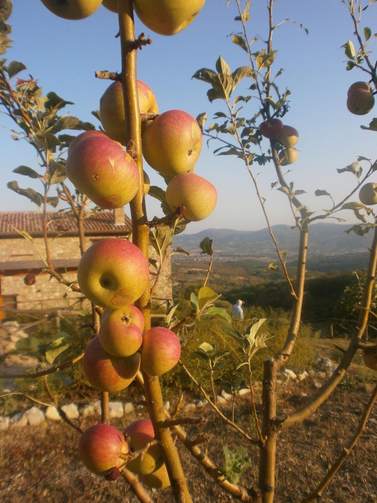 I Casali Di Colle San Paolo Villa Tavernelle  Buitenkant foto