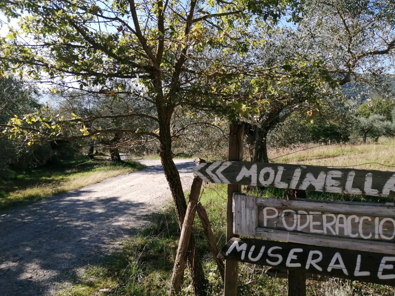 I Casali Di Colle San Paolo Villa Tavernelle  Buitenkant foto