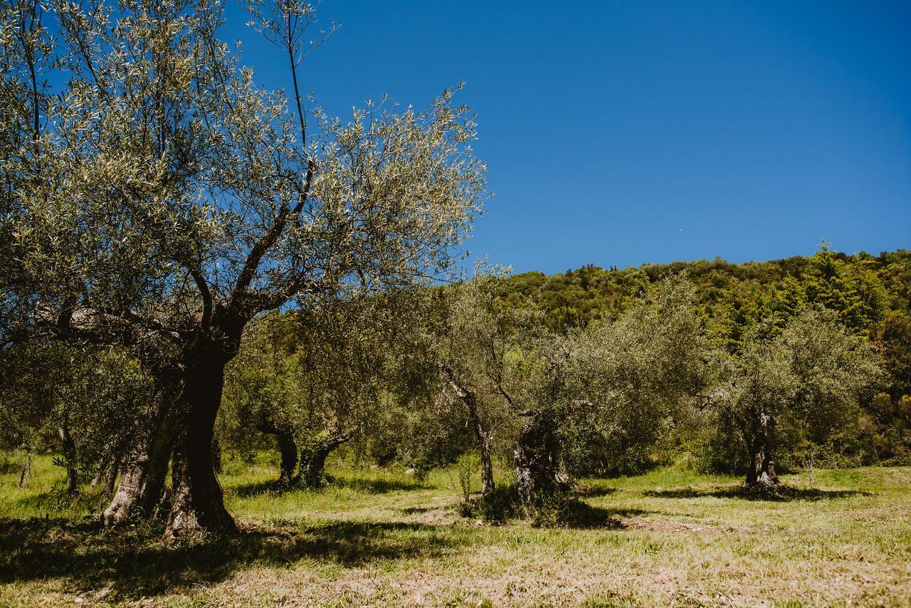 I Casali Di Colle San Paolo Villa Tavernelle  Buitenkant foto